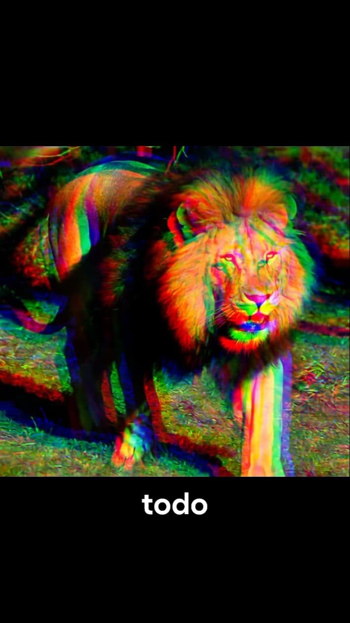 El León 🦁