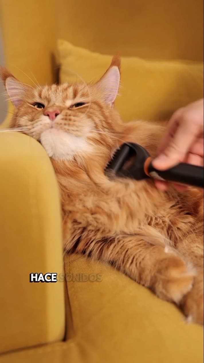 El Leopardo De Las Nieves