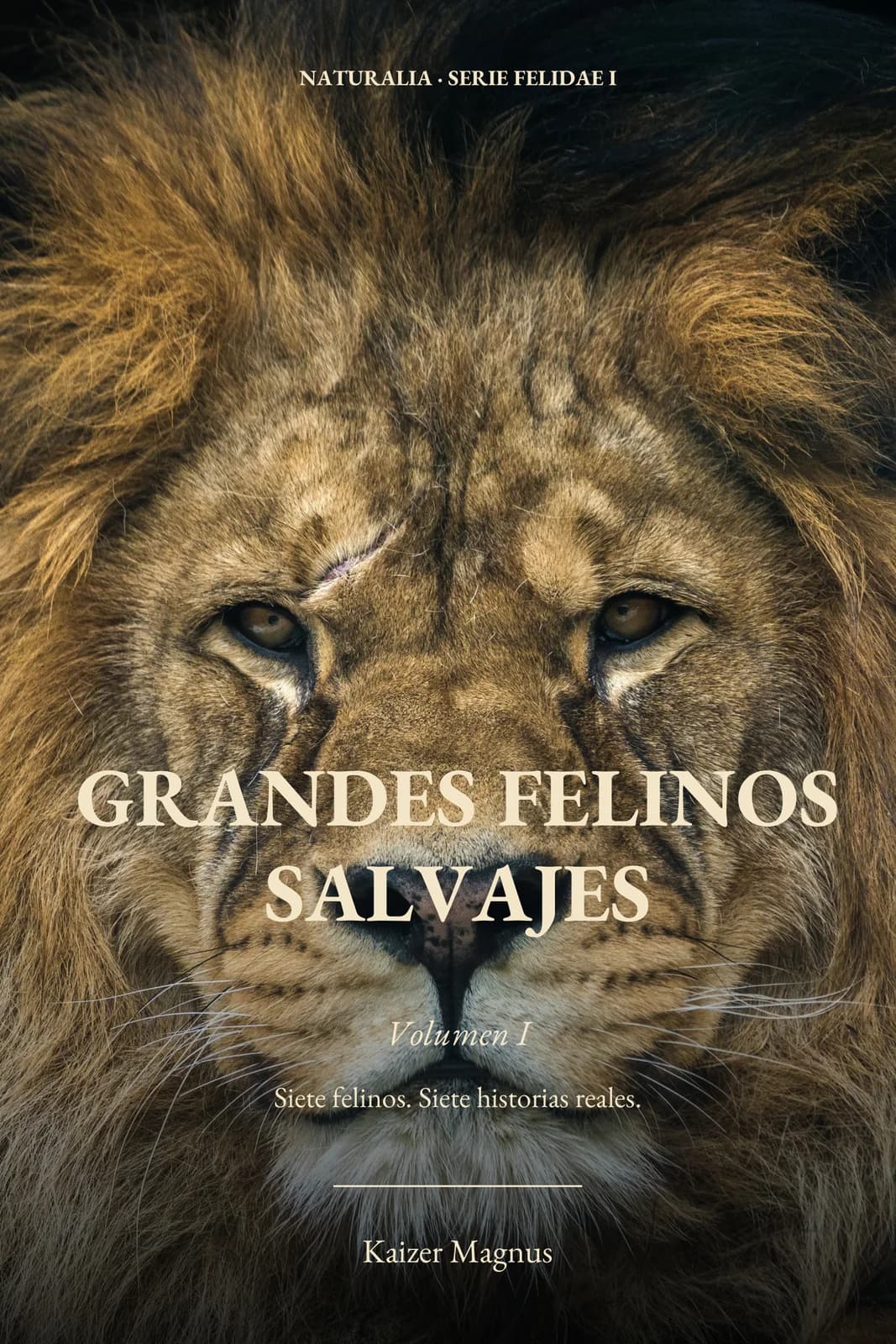 FELIDAE I